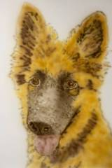 KahloPuppy