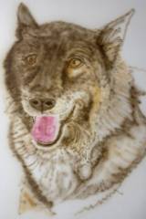 Shilo